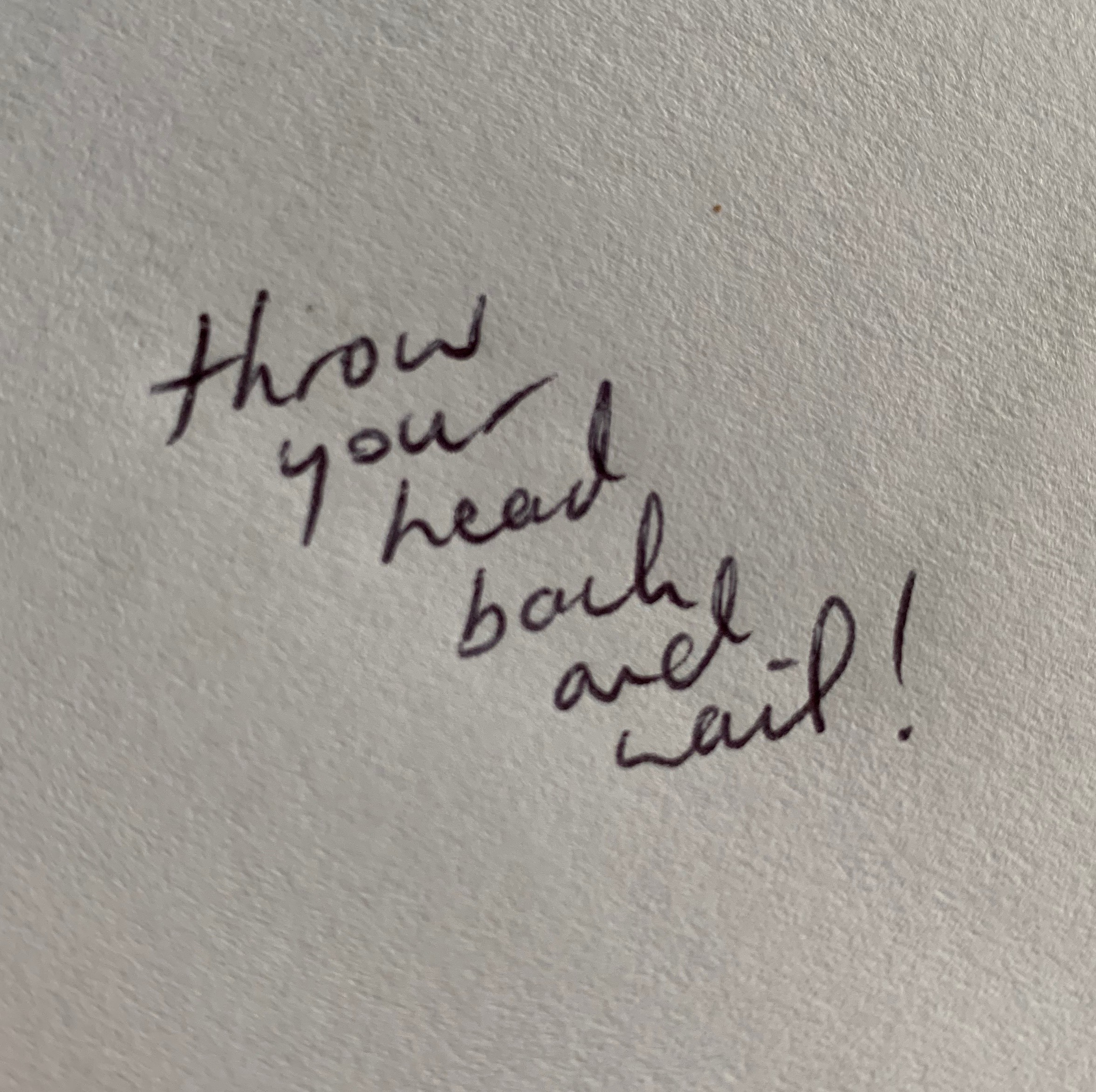 Photo of an excerpt from musician Julia Jacklin's instruction. It reads ‘Throw your head back and wail!’